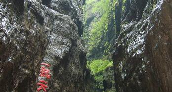 娱乐718吃瓜第一线天